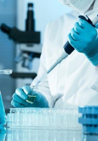 lab
